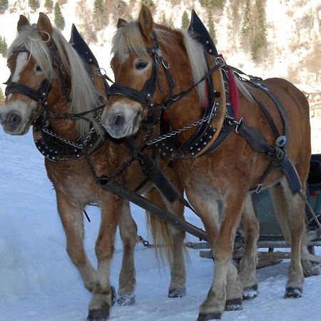 Hotel Monte Civetta Alleghe Zewnętrze zdjęcie