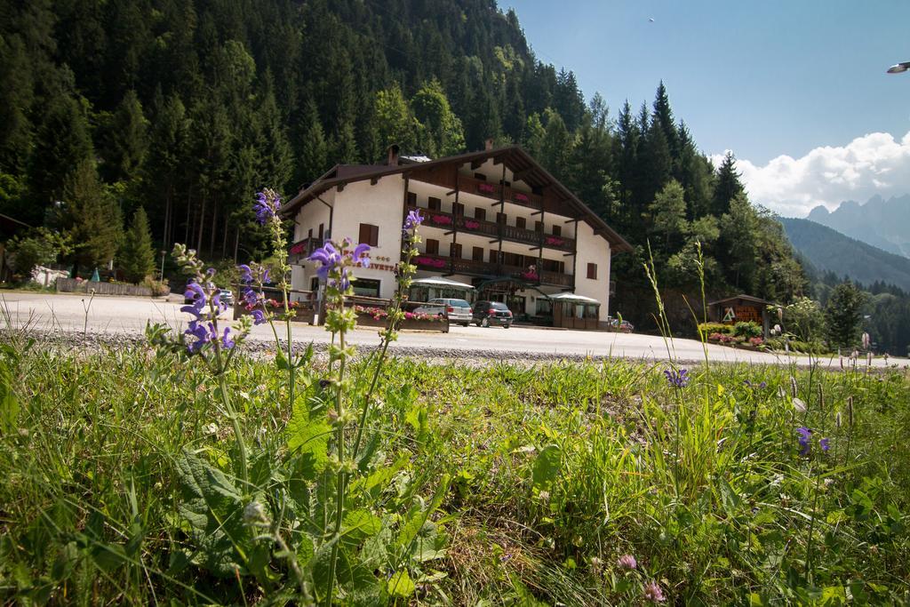 Hotel Monte Civetta Alleghe Zewnętrze zdjęcie